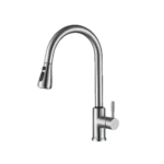 Mezcladora monomando de cocina Eos - Niquel